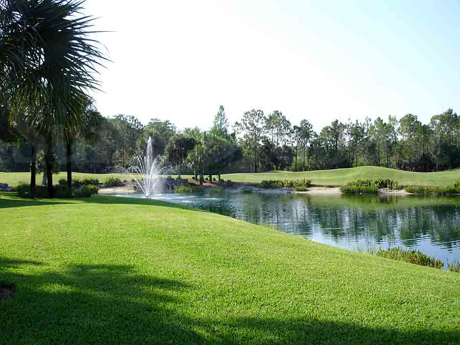 Grand Cypress View of Water
